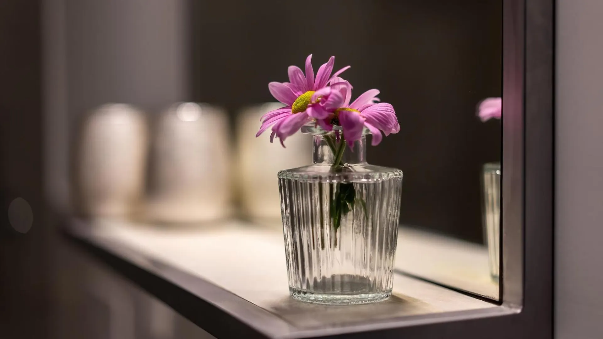 Aner 4 Design Apartment Zoe Dresden